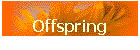 Offspring