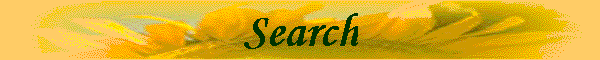 Search