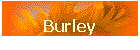 Burley